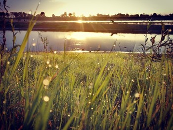 Morgen auf dem Fluss / ***