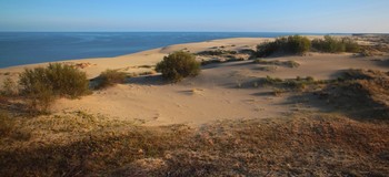 Die Kurische Nehrung / ***