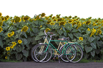 Fahrrad-Tour / ***
