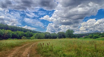 Die Straße im Sommer / ***