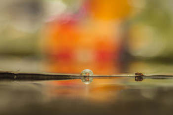 La gota en un desierto. / Macro de agua y color.
