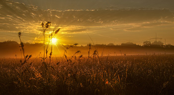 Nebel zerstreut / ***
