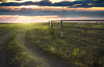 Abenddämmerung / ***
