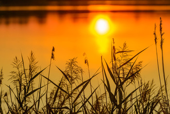 Sonnenuntergang / ***