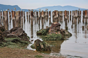 Ebbe / ***