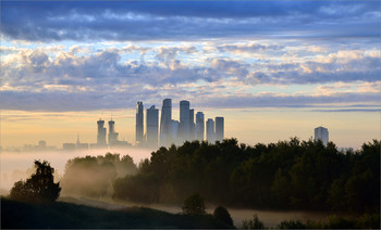 Nebliger Morgen / ***