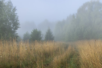 Straße im Nebel / ***