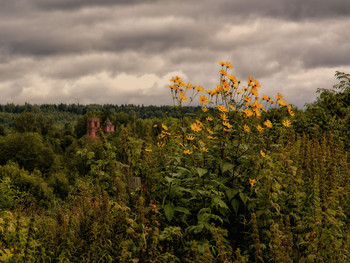 Landschaft / ***