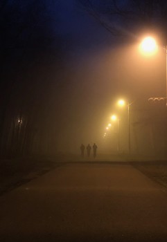 Abendnebel / ***