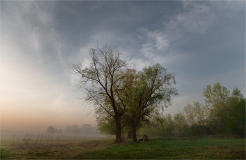 an der Schwelle zum Herbst / ***