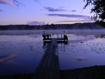 Morgennebel. / ***