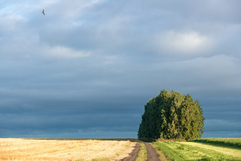 Etwa im September ... / ***