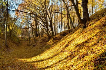 November / ***