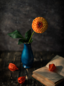 Herbstmorgen / ***