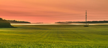 Nebliger Morgen / ***