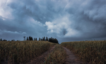 Bad Weather(the portal is open) / 2019
