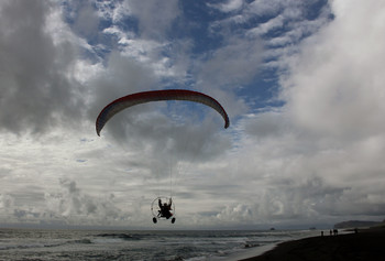 Flug / ***