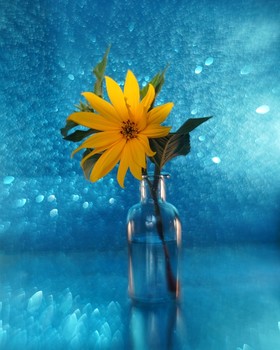 gelb / ***