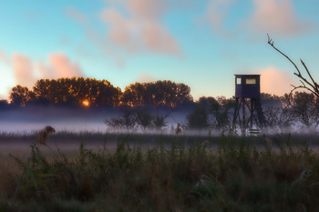 sun is coming / The sun is coming over the horizon and slowly the fog will dissolve, promising a beautiful sunny day.