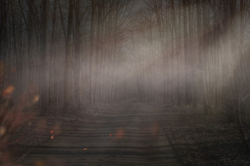 Der Geruch des Herbstes / ***