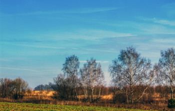 ,tp / late fall