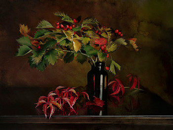 Herbstfarbe / ***