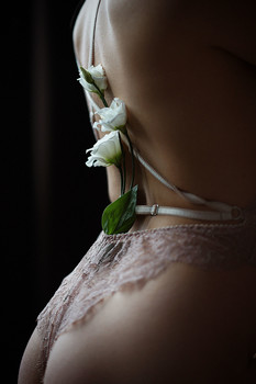 Helena / ***