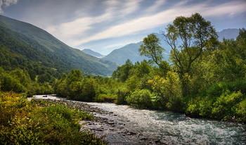 Mountain Creek / ***