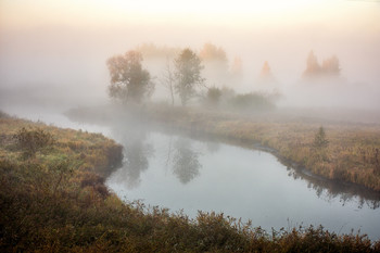 Nebel / ***