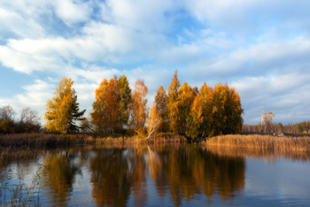 Herbstmotiv / ...