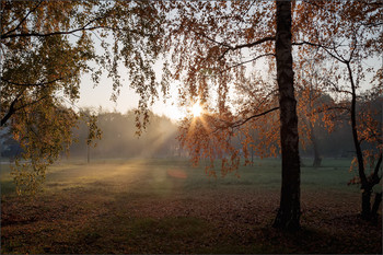 Herbstmorgen ... / ***
