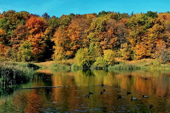 November / ***