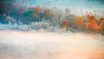  / A misty morning along the Adda river, Airuno - Italy.