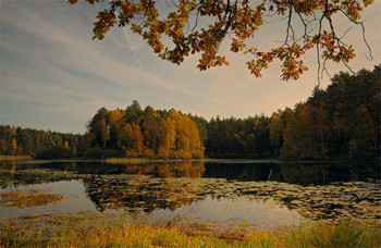 Herbstsonate / ***