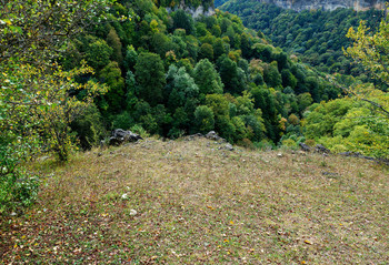 Herbstsonate / ***