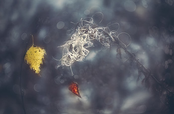 Herbstsonate / .....