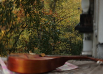 Herbstsonate / ***