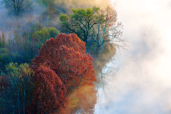  / Morning light along the Adda river, Airuno - Italy