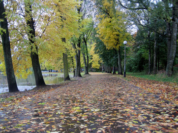 Herbstsonate / ***