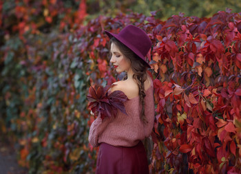 November / ***