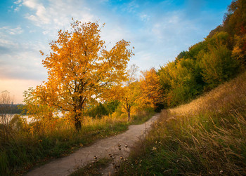 Herbst Spur / ***