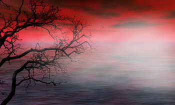 Himmel ... / ***