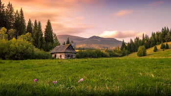 Old chalet / Almost 200 years old chalet from country side in Slovakia. :)