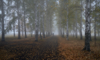 Herbstnebel / ***