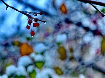 Der erste Schnee / ***