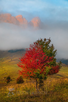 die Kontraste der Herbst / ***