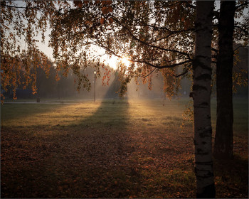 Herbstmorgen ... / ***
