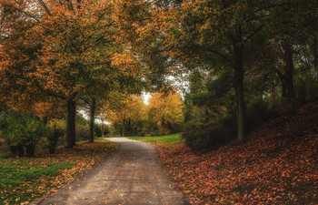 November / ***