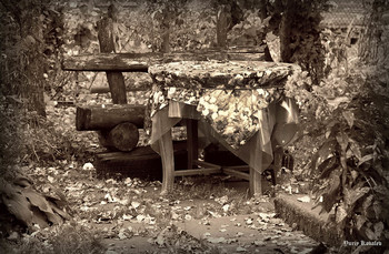 Herbst Trauer / ***