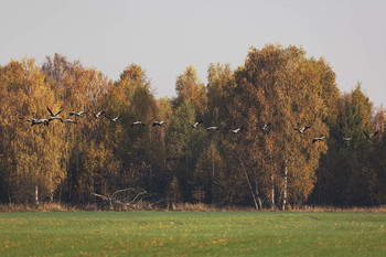 Was ist der Fall / ***
